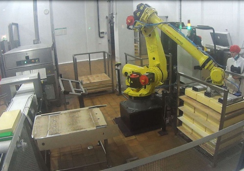 Sūrio luitų iškrovimo ir išdėliojimo robotas