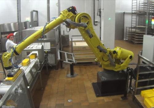 Sūrio luitų iškrovimo ir išdėliojimo robotas