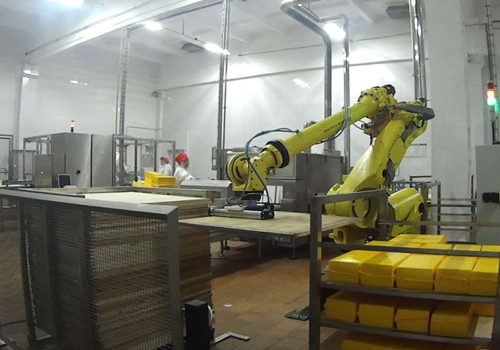 Sūrio luitų iškrovimo ir išdėliojimo robotas