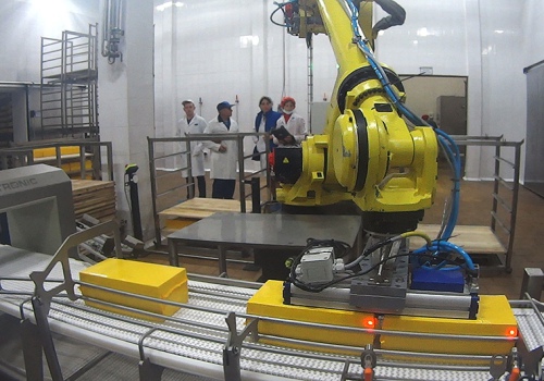 Sūrio luitų iškrovimo ir išdėliojimo robotas