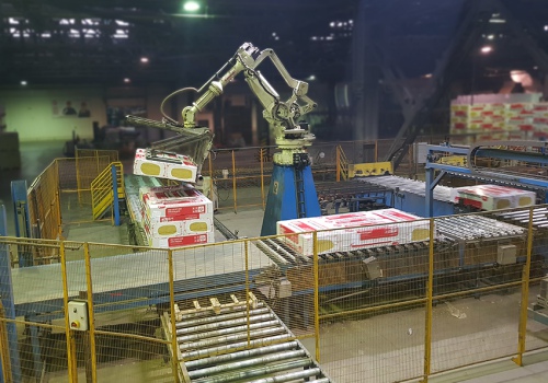 Putplasčio pakuočių iškrovimo robotas