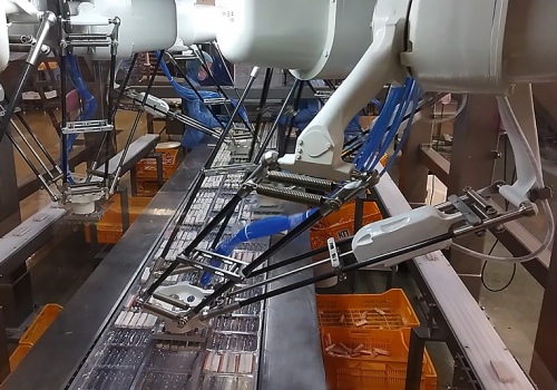 Krabų lazdelių iškrovimo robotai