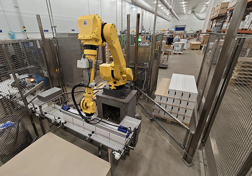 Dėžių iškrovimo ir išdėliojimo robotas